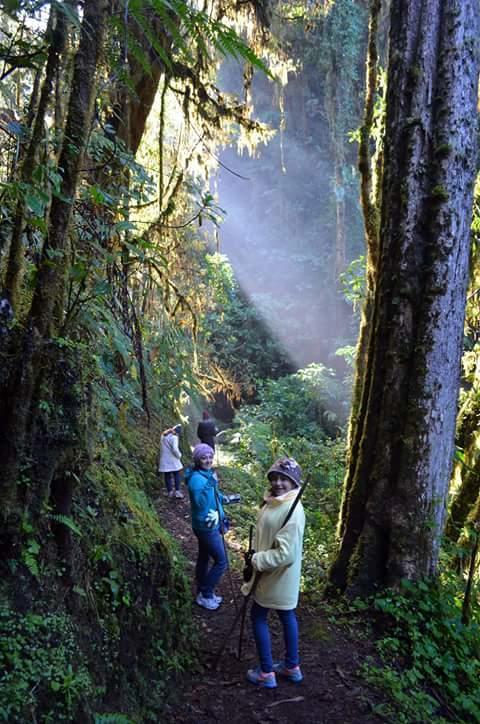 Mirador De Quetzales *